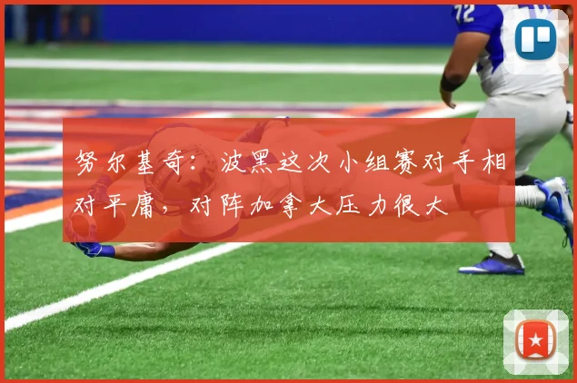 努尔基奇：波黑这次小组赛对手相对平庸，对阵加拿大压力很大