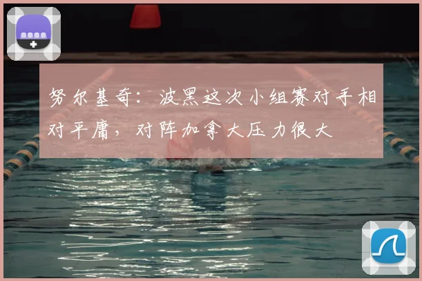 努尔基奇:波黑这次小组赛对手相对平庸,对阵加拿大压力很大