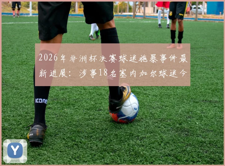 2026年非洲杯决赛球迷施暴事件最新进展：涉事18名塞内加尔球迷今日出庭受审细节梳理